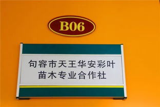 喜讯！华东森林产品电商城入选首批江苏省乡镇电子商务特色产业园区